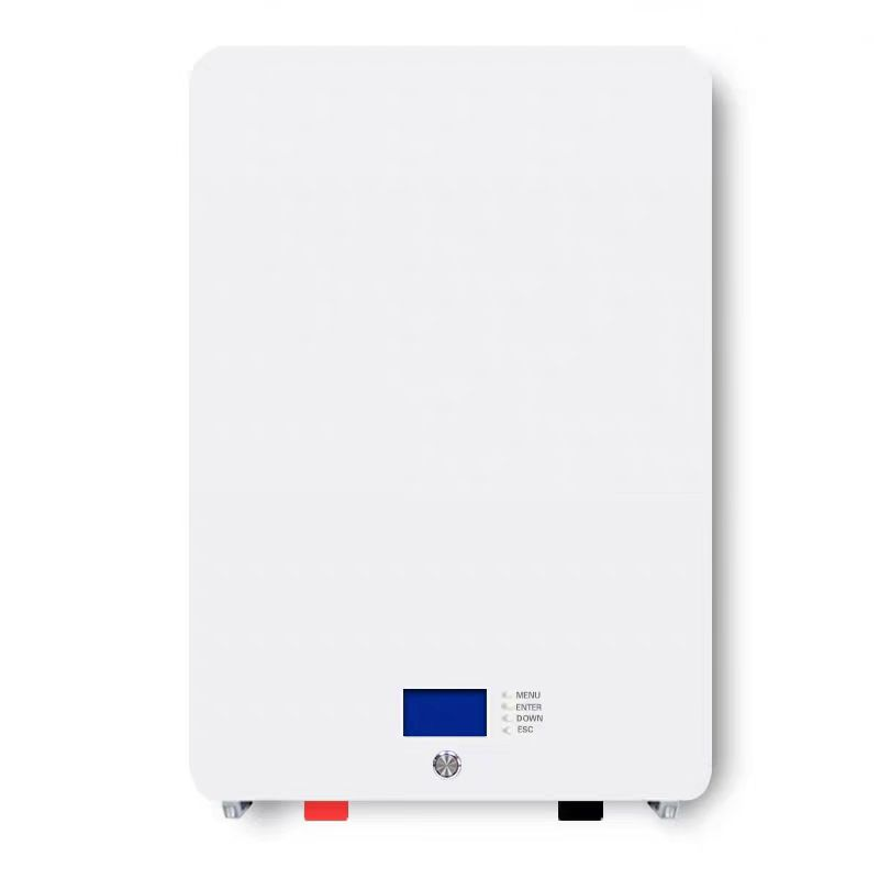 6000+Cycles 2KW 3KW 5KW Wandmo - Cycling Gear Wall Storage recensie en prijs